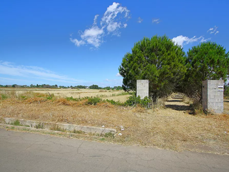 Immagine 6 di Terreno in vendita  in Strada Vicinale Tammali a Parabita