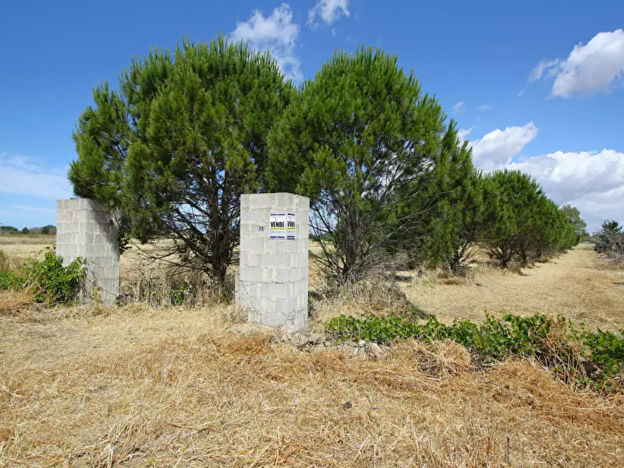 Immagine 8 di Terreno in vendita  in Strada Vicinale Tammali a Parabita