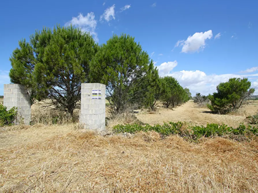 Immagine 9 di Terreno in vendita  in Strada Vicinale Tammali a Parabita