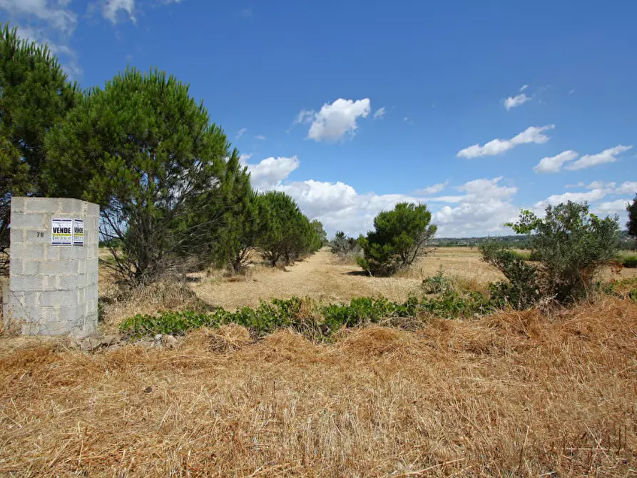Immagine 10 di Terreno in vendita  in Strada Vicinale Tammali a Parabita