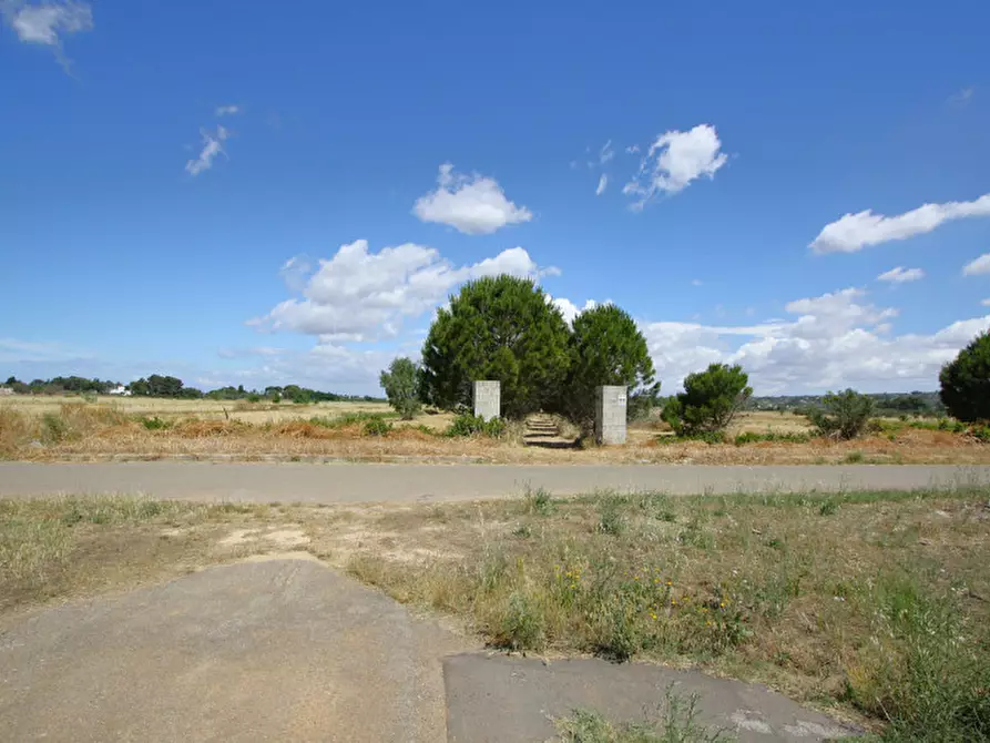 Immagine 12 di Terreno in vendita  in Strada Vicinale Tammali a Parabita