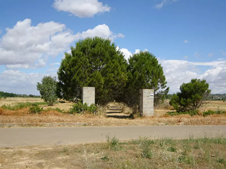 Immagine 13 di Terreno in vendita  in Strada Vicinale Tammali a Parabita