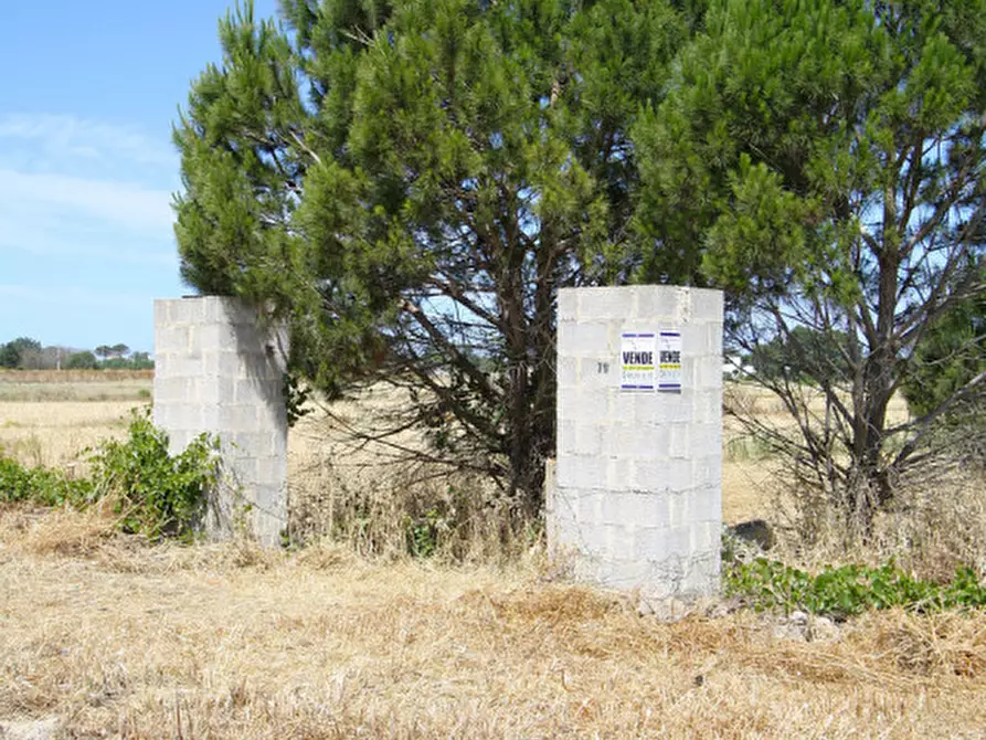 Immagine 14 di Terreno in vendita  in Strada Vicinale Tammali a Parabita