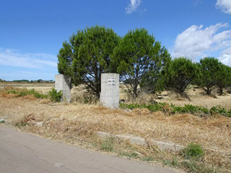 Immagine 15 di Terreno in vendita  in Strada Vicinale Tammali a Parabita