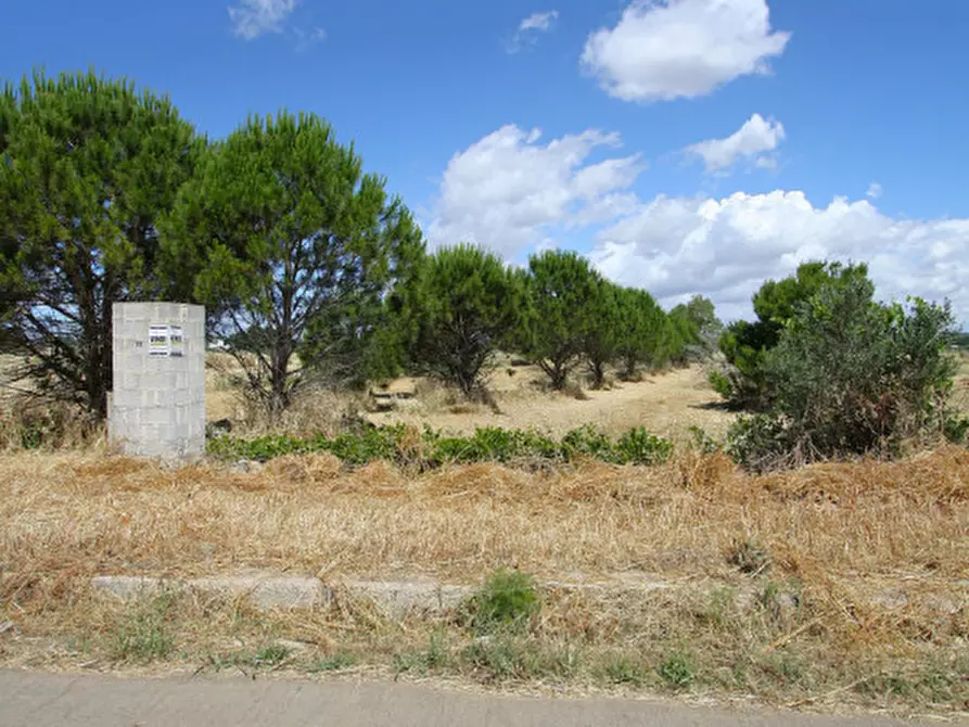 Immagine 16 di Terreno in vendita  in Strada Vicinale Tammali a Parabita