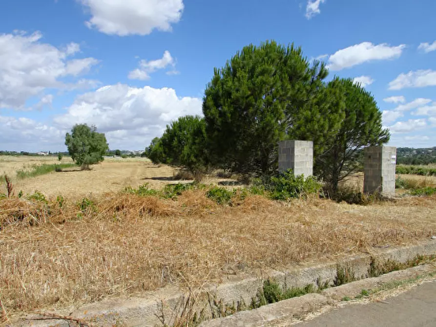 Immagine 20 di Terreno in vendita  in Strada Vicinale Tammali a Parabita