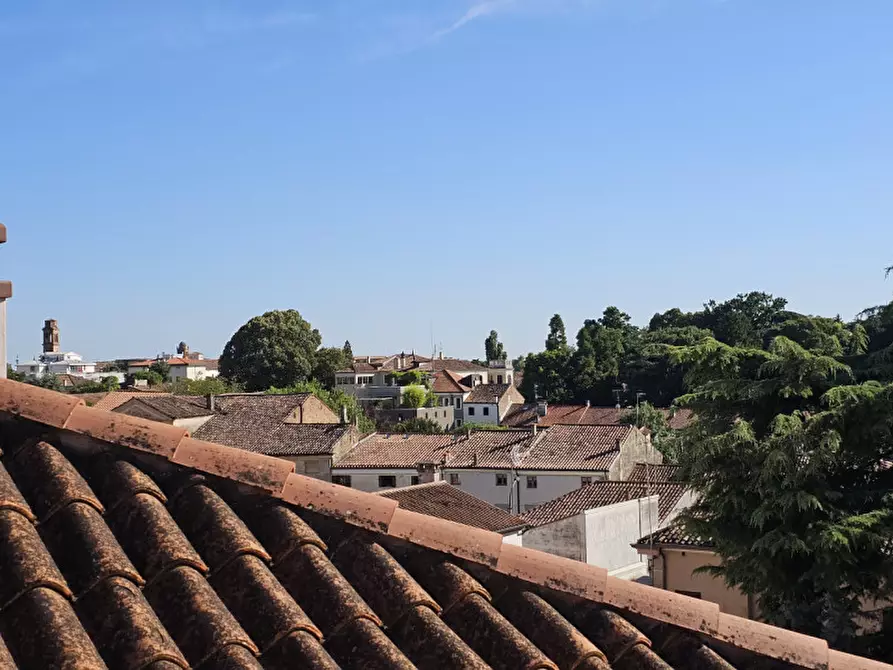 Immagine 15 di Appartamento in vendita  in Via Santo Stefano a Este