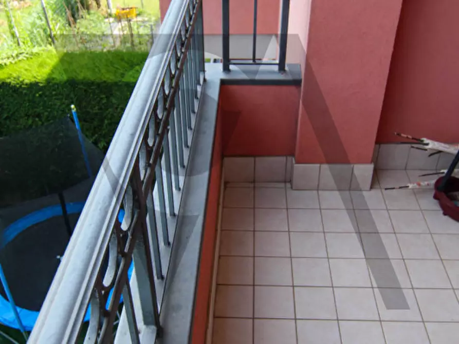 Immagine 13 di Appartamento in vendita  in Via Frignolo a Codevigo