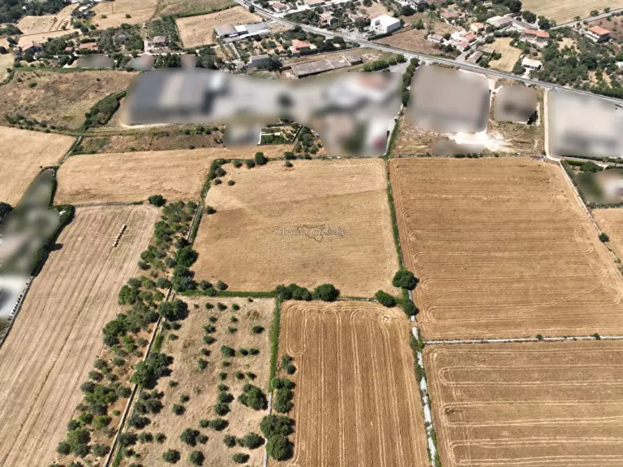 Immagine 5 di Terreno in vendita  in AC Torre Cannata Raddusa a Modica