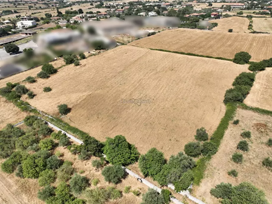 Immagine 7 di Terreno in vendita  in AC Torre Cannata Raddusa a Modica