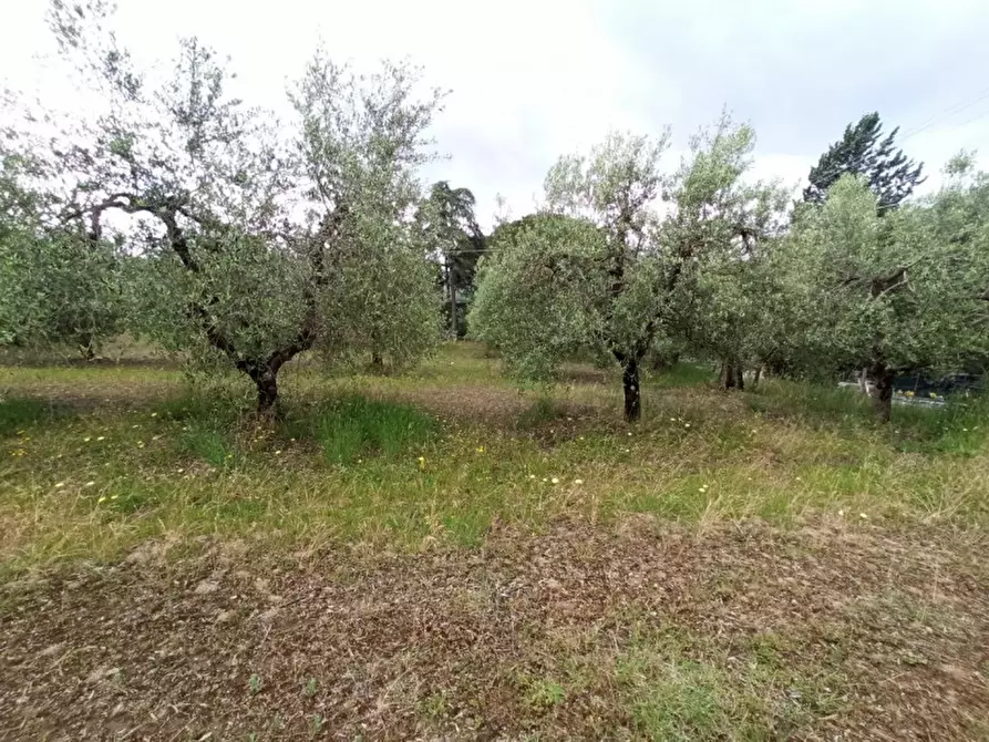 mansarda in vendita a Panicale in zona Casalini