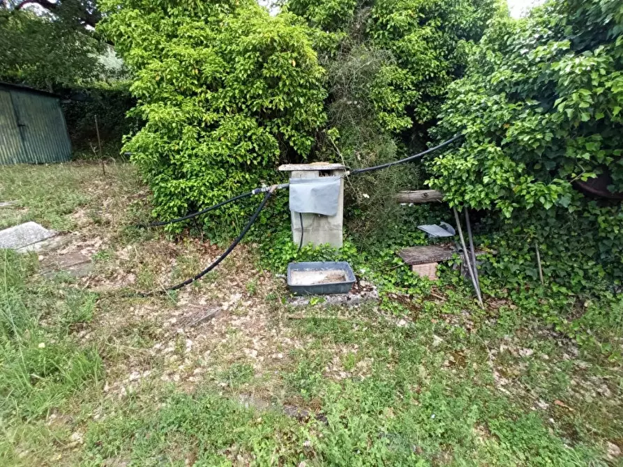 Immagine 6 di Terreno in vendita  in Via dei Mandorli a Panicale