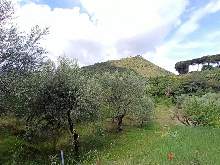 Immagine 9 di Terreno in vendita  in Via dei Mandorli a Panicale