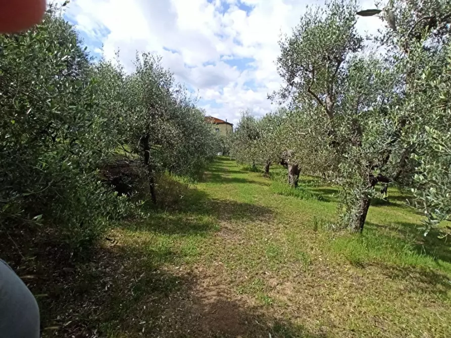 Immagine 14 di Terreno in vendita  in Via dei Mandorli a Panicale