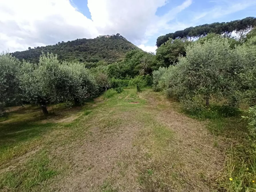 Immagine 16 di Terreno in vendita  in Via dei Mandorli a Panicale