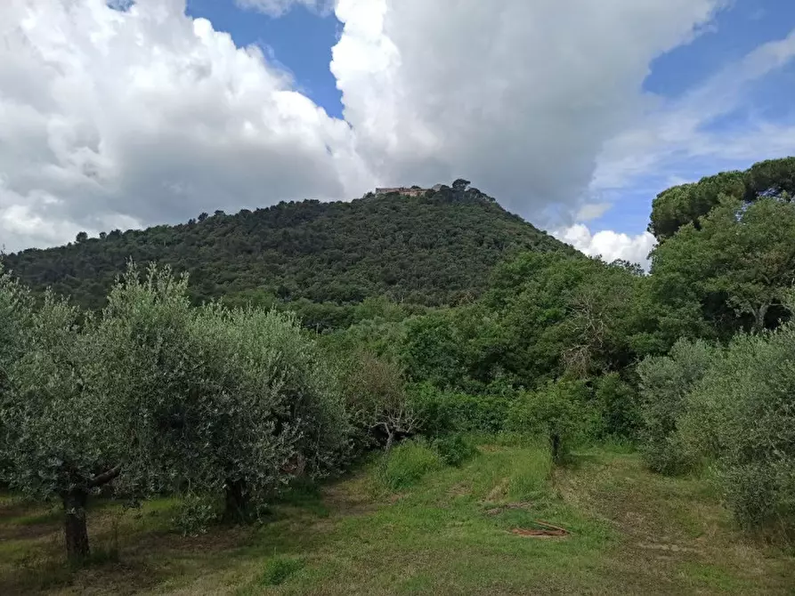 Immagine 19 di Terreno in vendita  in Via dei Mandorli a Panicale