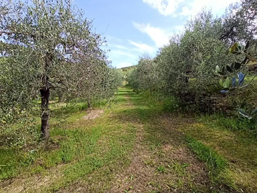 mansarda in vendita a Panicale in zona Casalini