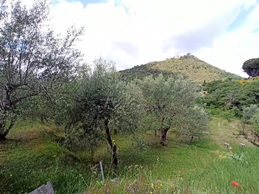 Immagine 4 di Terreno in vendita  in Via dei Mandorli a Panicale