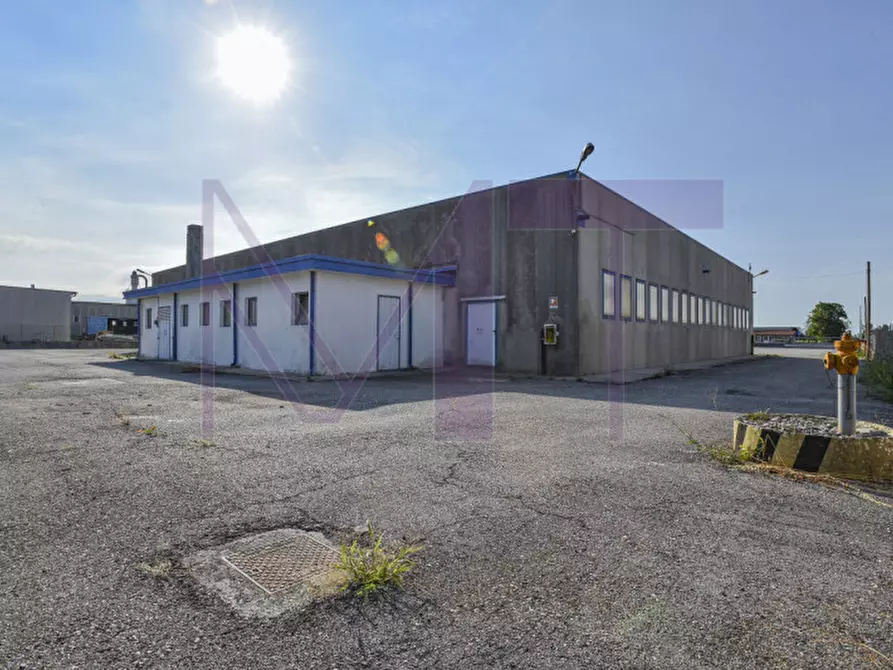 Immagine 7 di Capannone industriale in affitto  in Via Remis 6 a San Vito Al Torre