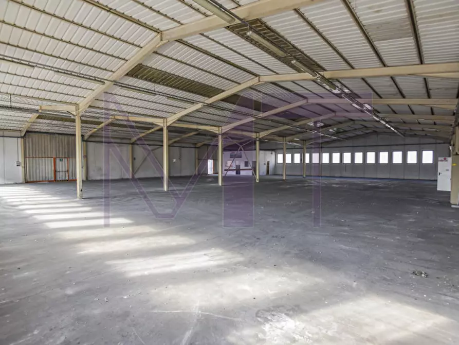 Immagine 20 di Capannone industriale in affitto  in Via Remis 6 a San Vito Al Torre