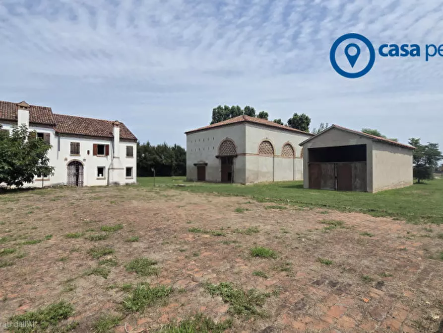 Immagine 3 di Villa in vendita  in Via Casalveghe 16 a Rovigo