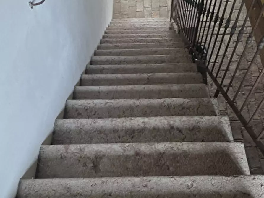 Immagine 53 di Villa in vendita  in Via Casalveghe 16 a Rovigo