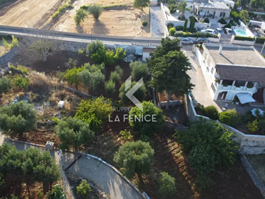 Immagine 13 di Villa in vendita  in Strada Primicerio a Martina Franca