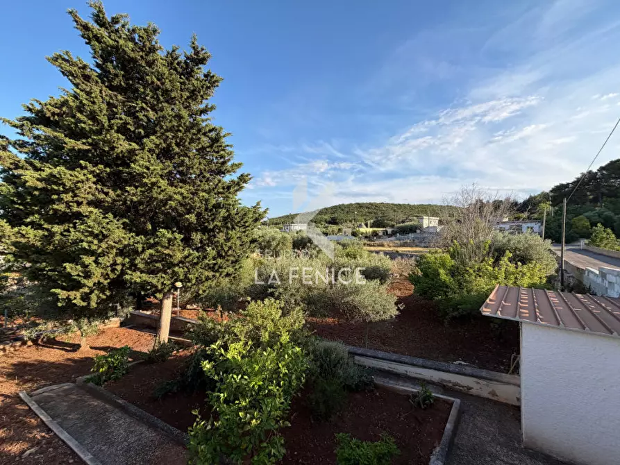 Immagine 47 di Villa in vendita  in Strada Primicerio a Martina Franca