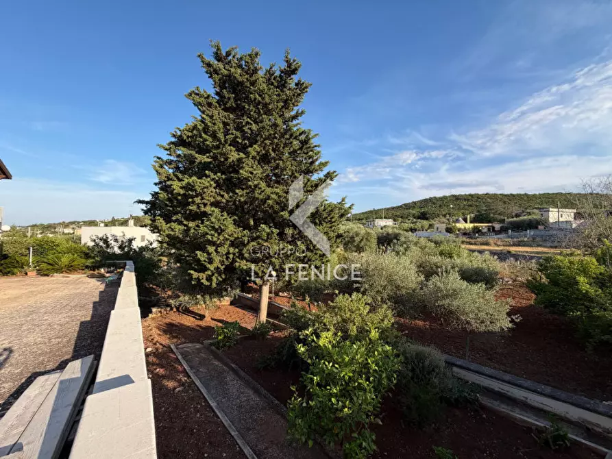Immagine 48 di Villa in vendita  in Strada Primicerio a Martina Franca