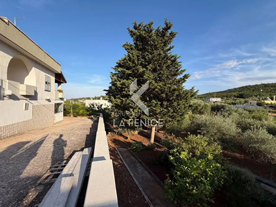 Immagine 49 di Villa in vendita  in Strada Primicerio a Martina Franca