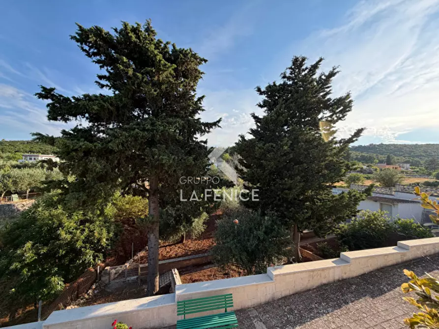 Immagine 53 di Villa in vendita  in Strada Primicerio a Martina Franca