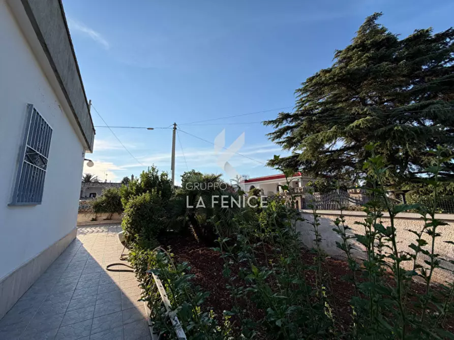 Immagine 54 di Villa in vendita  in Strada Primicerio a Martina Franca