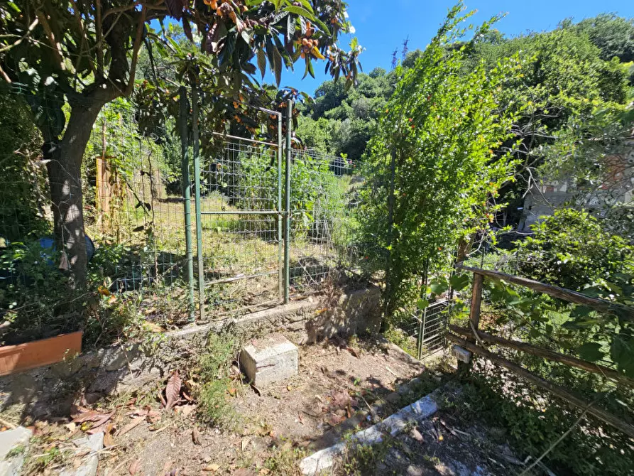 Immagine 21 di Appartamento in vendita  in Via Repusseno a Savona