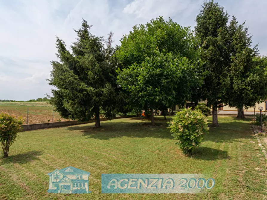 Immagine 3 di Casa indipendente in vendita  in Via Canaletta 36 a Anguillara Veneta