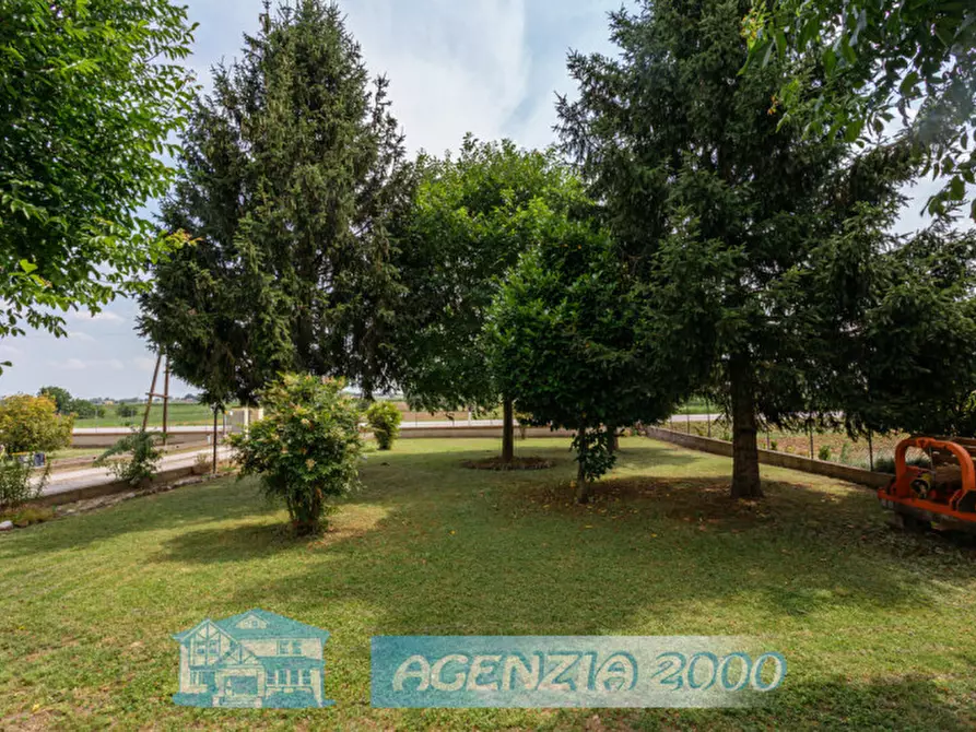 Immagine 47 di Casa indipendente in vendita  in Via Canaletta 36 a Anguillara Veneta