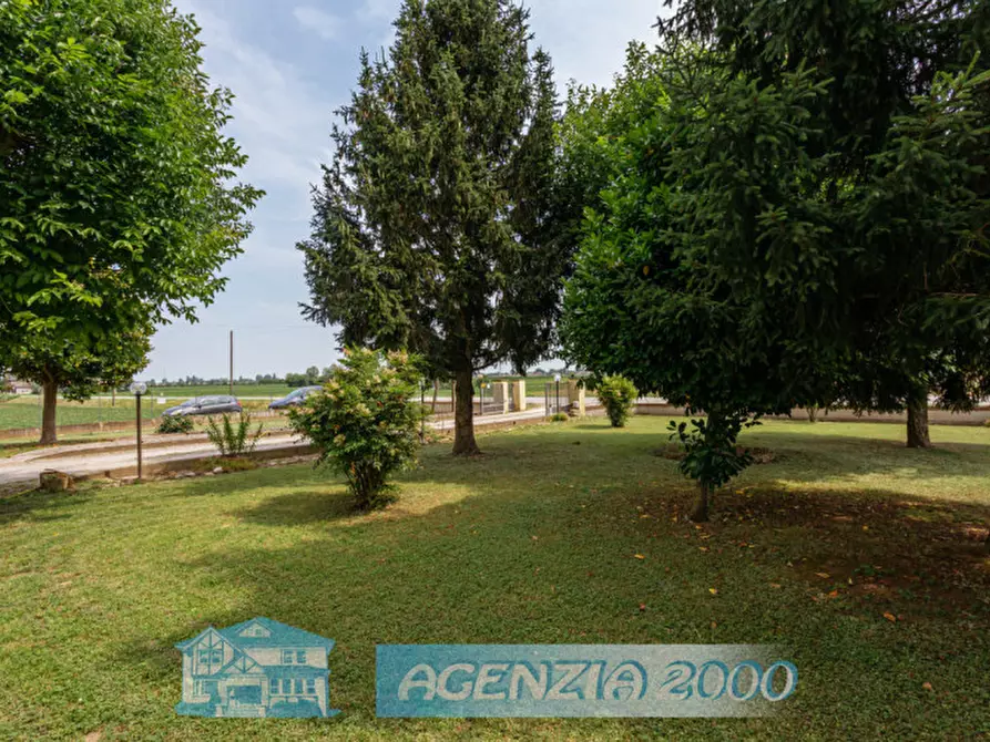 Immagine 48 di Casa indipendente in vendita  in Via Canaletta 36 a Anguillara Veneta