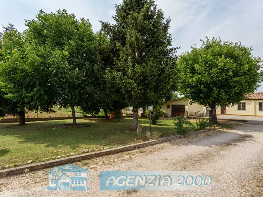 Immagine 56 di Casa indipendente in vendita  in Via Canaletta 36 a Anguillara Veneta