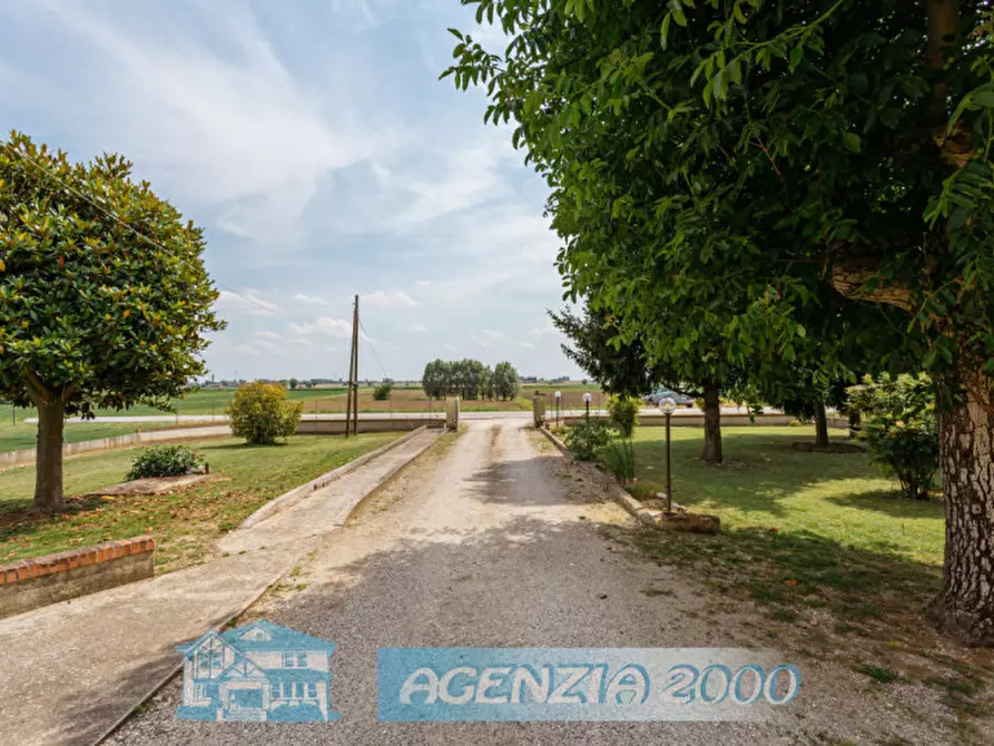 Immagine 58 di Casa indipendente in vendita  in Via Canaletta 36 a Anguillara Veneta