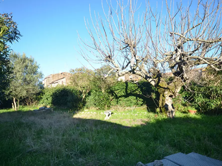Immagine 19 di Appartamento in vendita  in Civita Castellana a Civita Castellana