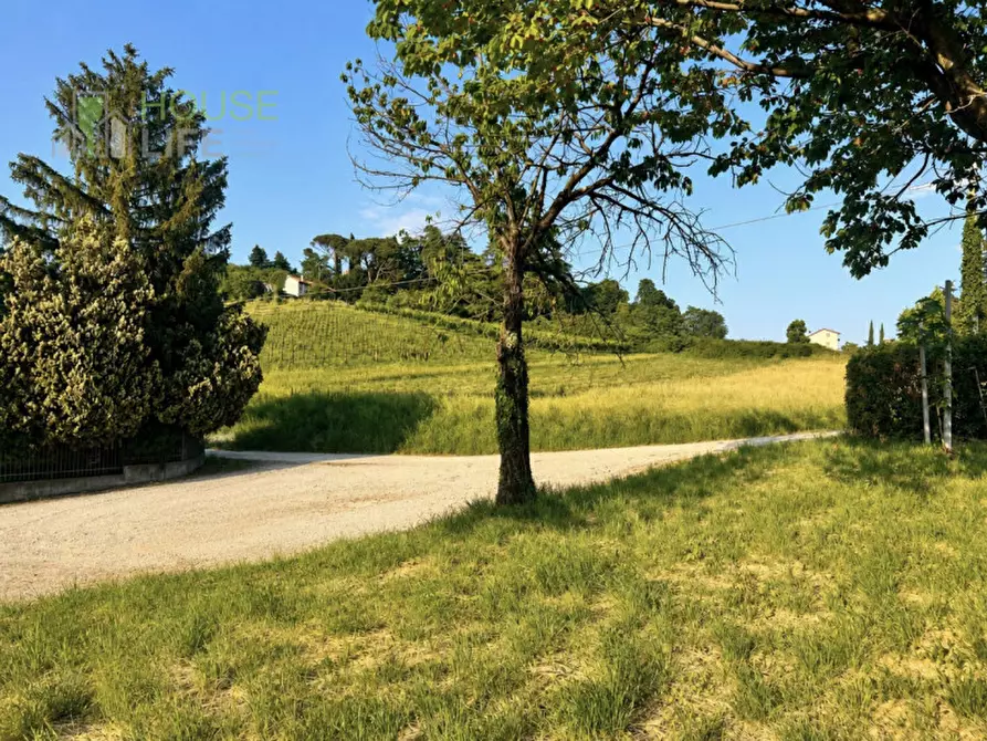 Immagine 4 di Villa in vendita  in via riva breganze a Breganze