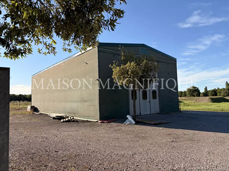 Immagine 3 di Terreno in vendita  in Via Valle Oppio a Lagosanto