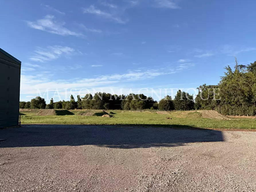 Immagine 4 di Terreno in vendita  in Via Valle Oppio a Lagosanto