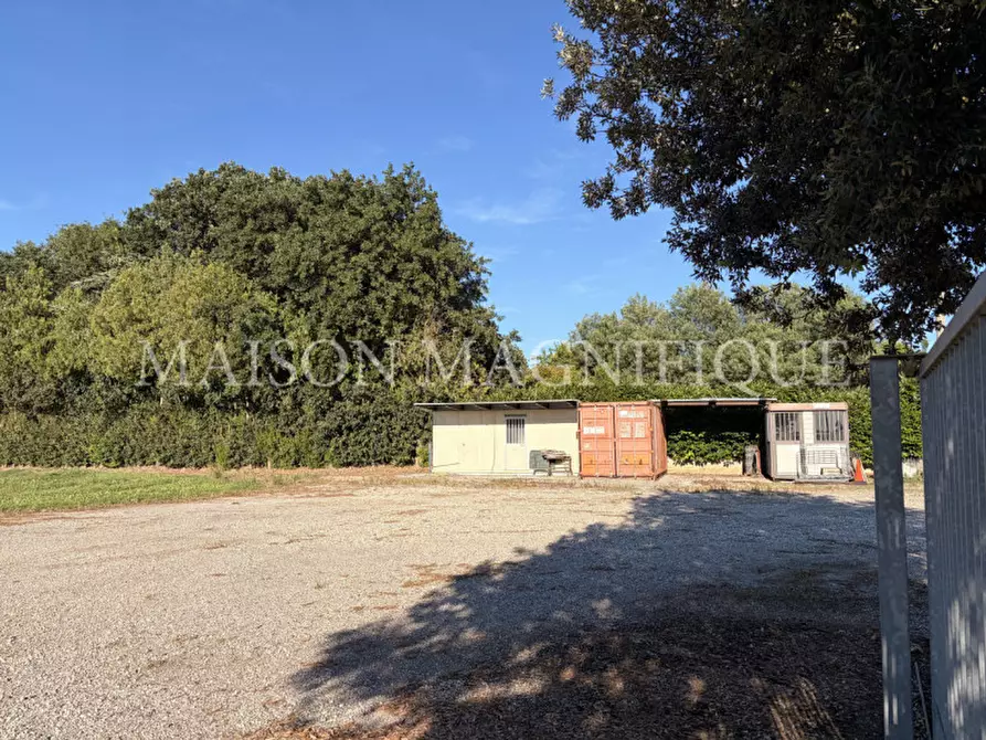 Immagine 5 di Terreno in vendita  in Via Valle Oppio a Lagosanto