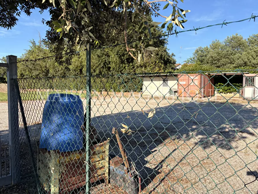 Immagine 6 di Terreno in vendita  in Via Valle Oppio a Lagosanto