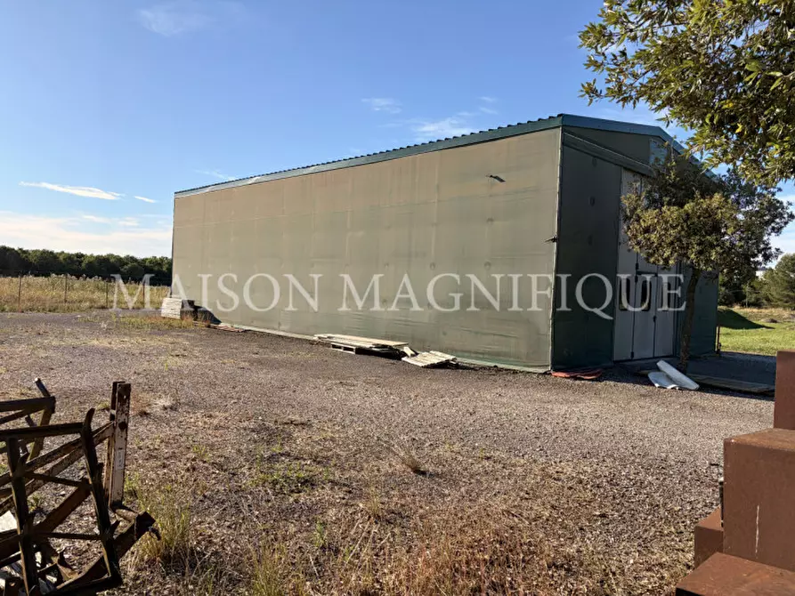 Immagine 7 di Terreno in vendita  in Via Valle Oppio a Lagosanto