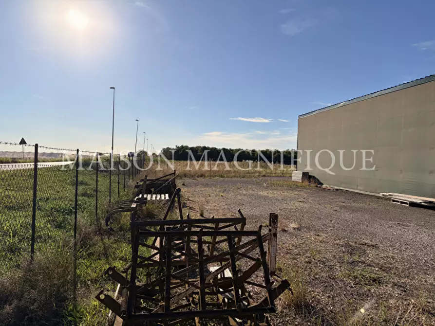 Immagine 8 di Terreno in vendita  in Via Valle Oppio a Lagosanto