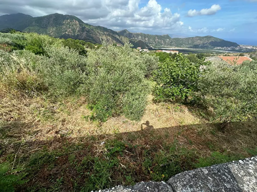 Immagine 13 di Casa indipendente in vendita  in Via Case Nuove,46 a Castroreale