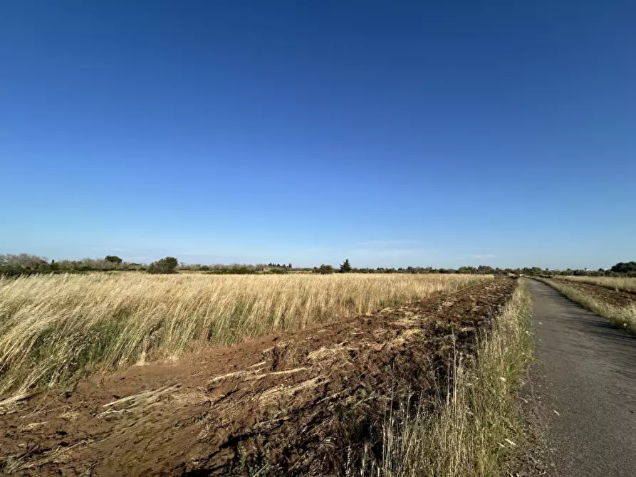 Immagine 1 di Terreno in vendita  in Via Osanna 62 a Vernole