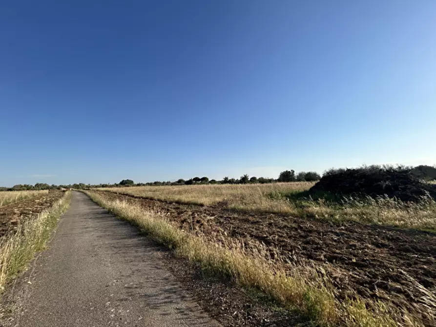 Immagine 3 di Terreno in vendita  in Via Osanna 62 a Vernole