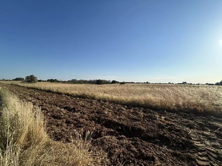Immagine 4 di Terreno in vendita  in Via Osanna 62 a Vernole